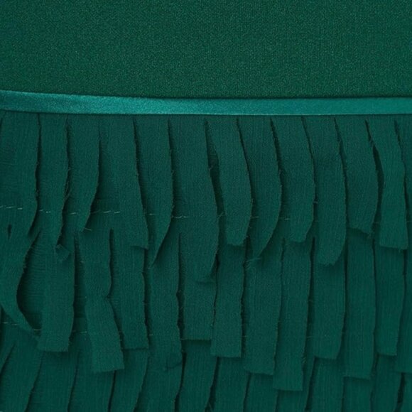 NWT Women’s Adrianna Papell Fringed Crepe & Chiffon Mini Dress Green Size 12 - Picture 4 of 6